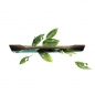 دستگیره کابینت مدل روشان 224-1100